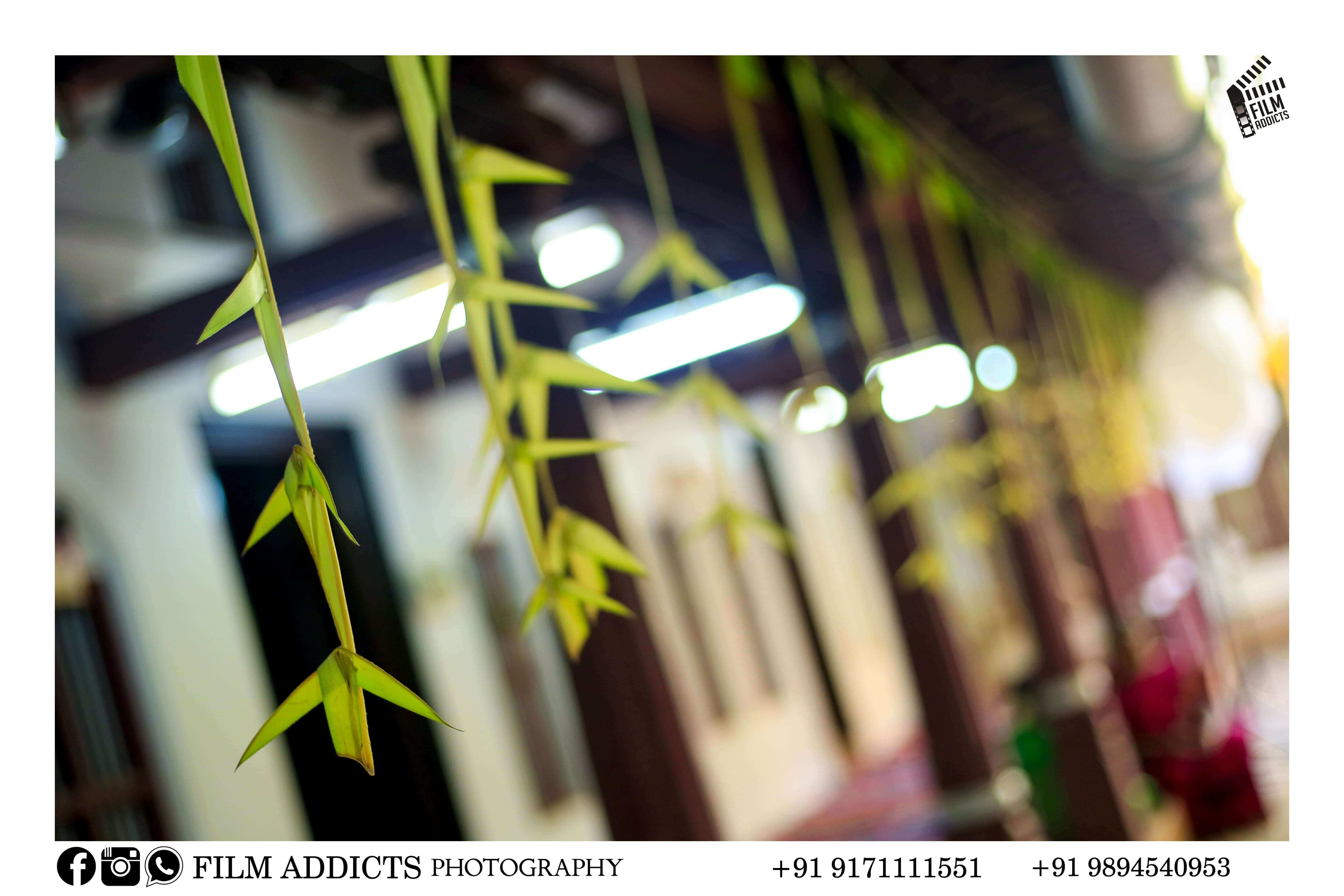 Best Chettinadu Wedding Photographers in Pudukkottai,Best wedding photography in Pudukkottai,Best candid photographers in Pudukkottai,Best candid photography in Pudukkottai,Best marriage photographers in Pudukkottai,Best marriage photography in Pudukkottai,Best photographers in Pudukkottai,Best photography in Pudukkottai,Best wedding candid photography in Pudukkottai,Best wedding candid photographers in Pudukkottai,Best wedding video in Pudukkottai,Best wedding videographers in Pudukkottai,Best wedding videography in Pudukkottai,Best candid videographers in Pudukkottai,Best candid videography in Pudukkottai,Best marriage videographers in Pudukkottai,Best marriage videography in Pudukkottai,Best videographers in Pudukkottai,Best videography in Pudukkottai,Best wedding candid videography in Pudukkottai,Best wedding candid videographers in Pudukkottai,Best helicam operators in Pudukkottai,Best drone operators in Pudukkottai,Best wedding studio in Pudukkottai,Best professional photographers in Pudukkottai,Best professional photography in Pudukkottai,No.1 wedding photographers in Pudukkottai,No.1 wedding photography in Pudukkottai,Pudukkottai wedding photographers,Pudukkottai wedding photography,Pudukkottai wedding videos,Best candid videos in Pudukkottai,Best candid photos in Pudukkottai,Best helicam operators photography in Pudukkottai,Best helicam operator photographers in Pudukkottai,Best outdoor videography in Pudukkottai,Best professional wedding photography in Pudukkottai,Best outdoor photography in Pudukkottai,Best outdoor photographers in Pudukkottai,Best drone operators photographers in Pudukkottai,Best wedding candid videography in Pudukkottai,tamilnadu wedding photography, tamilnadu.